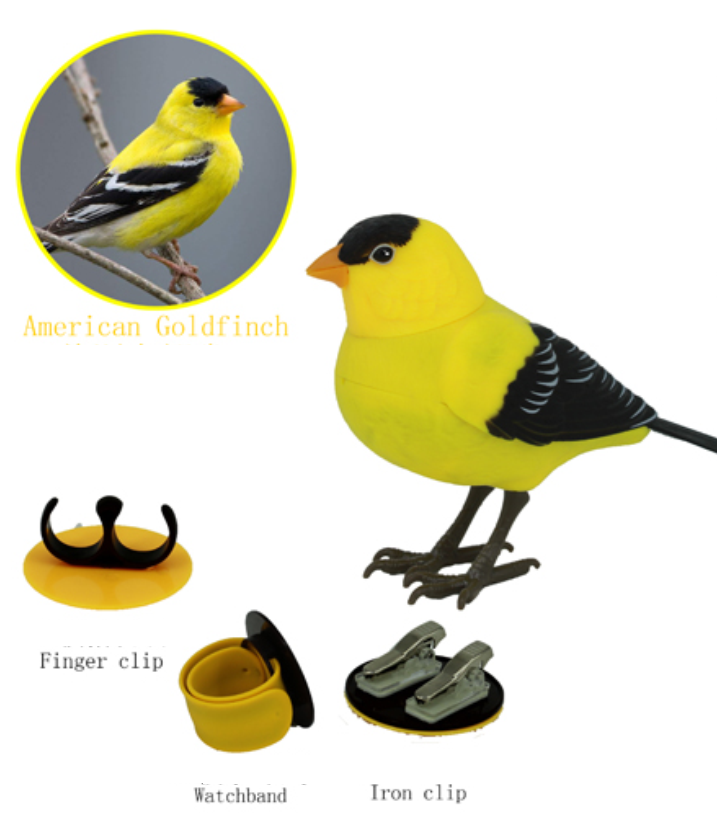 HL522X-01  Sound Control Bird